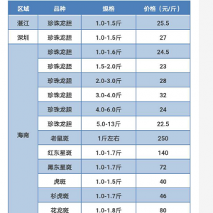 2017��8��5��ʯ���~���^�r(ji��)һһ���������ӣ��r(ji��)���ַ�(w��n)