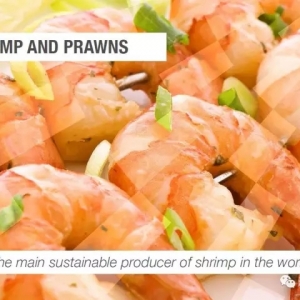 ͬ�ڳ������������ٷ�(li��n)�϶�϶ࠖ�r����V���Ї��Ј��ж���Ҫ | ֱ���Ϻ��O����