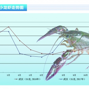 С���r��������(y��ng)�� �r(ji��)�񱩝q������ˮ�a(ch��n)ǰ�ء�2017��9�¿��Ј�څ��