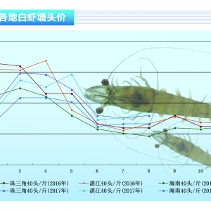 ���w����(y��ng)���� �r�r(ji��)���q��һ ������ˮ�a(ch��n)ǰ�ء�2017��9�¿��Ј�څ��(sh��)