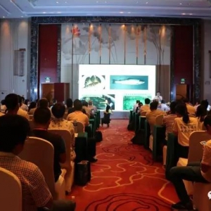 ˮ�a(ch��n)�ɴ�Ժʿ���������@��һ��ʲô�ӵ�ʢ��......