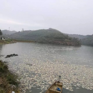 ����~�r�������pʧ200���fԪ���l���I����