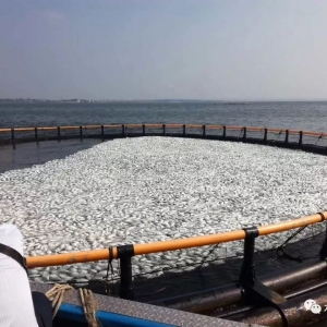 ���y���A�Ͻ��K�~��С���x���uȫ��漱��