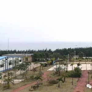 �y���п����|(zh��)��һβ��(y��u)�|(zh��)�r��͑�(y��ng)ԓ�@ô����͸��