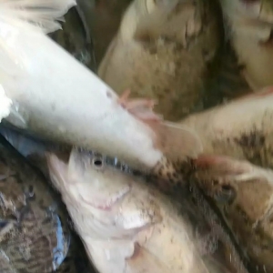 ���K����ѩ��·��6��6ҹ�´������~��