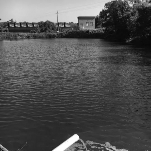 �h(hu��n)���L(f��ng)��ͣЪ���V�ݡ���ɽ���Ҫ��ֹˮ�a(ch��n)�B(y��ng)ֳ��