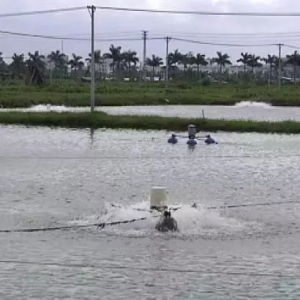 ����늃r(ji��)�p�p�B(y��ng)ֳ����������ô����