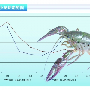 С���r���r(ji��)�񱩝q��(chu��ng)�¸ߡ���ˮ�a(ch��n)ǰ�ء�2018��1�¿��Ј�څ��