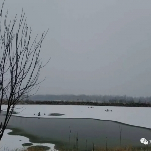 ȫ���־Ð��������ˮ�a(ch��n)�B(y��ng)ֳ���R�������(y��n)��