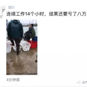 �麣�B(y��ng)��һ�������Q���ʮ�f̝�p��