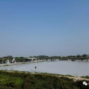 ����(qi��ng)���������u�����A�ϰ׌�(du��)�r���_���~�����K�K�������������