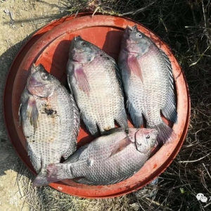 ����(z��i)�´����~�r������ˮù�����񱩰l(f��)