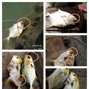 �~�rз������������߀���_(t��i)�L(f��ng)...