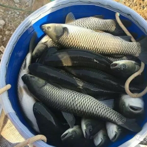 �����������࣬���ز��~�r(ji��)�����в���(d��ng)