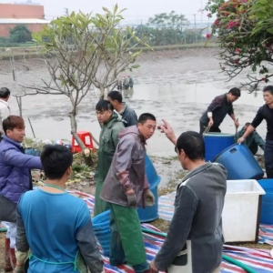 ����󸣴��Z���V�|���V���Z�~���q1Ԫ/����՝q2Ԫ/����