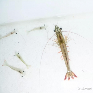 �@�N�r�Ѓr�����׌��r����ɰ��r�����Ʒ�N��