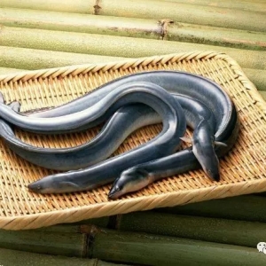 ���ڃr���m(x��)5�B�q���@�N�~һС���Ҫ1�f��Ԫ