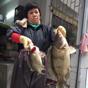 5ʡ�Z�~�q��ϲ��ȫ���h�t��