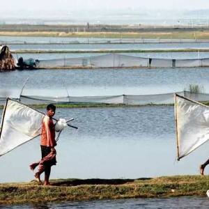 �r�r(n��ng)��ը���������Ї�(gu��)Ҫ�������Y���B(y��ng)�r