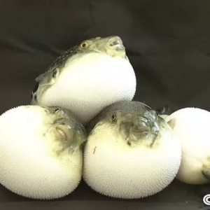 һ�P����̝3ǧ���f(w��n)����һ���g���~(y��)������ٍ�|�f(w��n)��