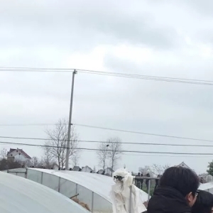 ��ͨ��|�Ĵ����(zh��n)ȫ���������B(y��ng)ֳ����ˉ������