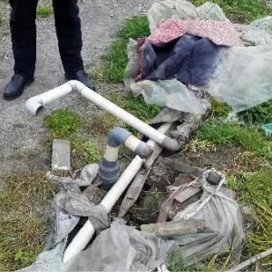 �B(y��ng)ֳ����ȫ���W(w��ng)����������ͣ�������~�rҪ�q��