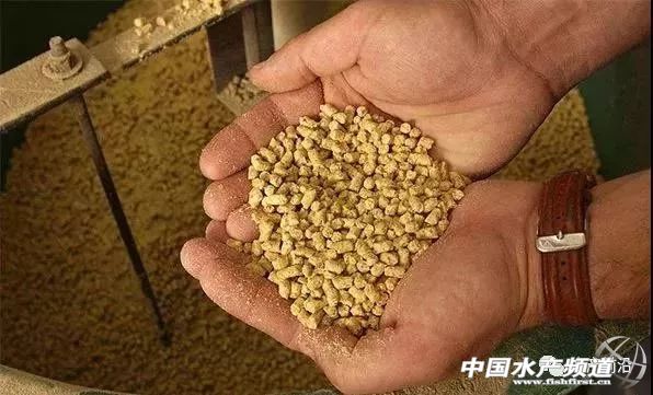 ������2018���Ҳ����u�o�������ϣ���10�f+��������D(zhu��n)���ˣ�)