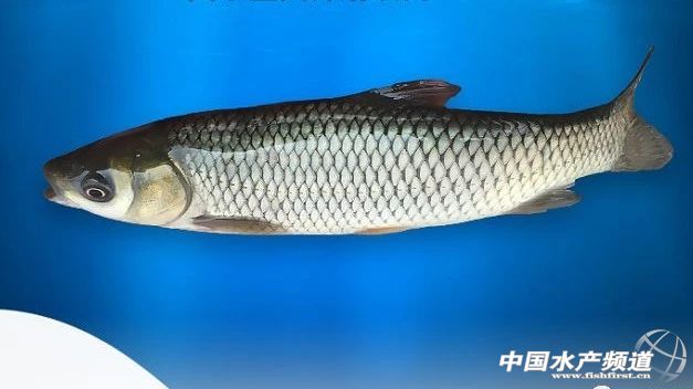 ���~���ļҏ�������2018�ꃞ(y��u)�|(zh��)���~������gӭ���]����ՈͶƱ��