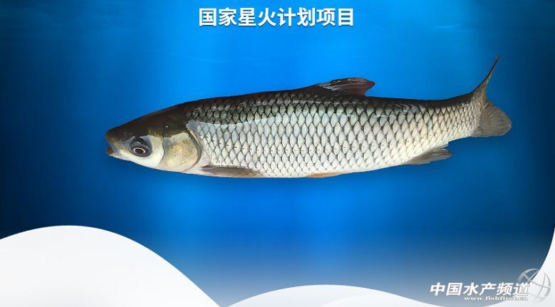 ���~���ļҏ�������2018�ꃞ(y��u)�|(zh��)���~������gӭ���]����ՈͶƱ��