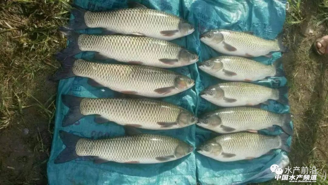 ���~���ļҏ�������2018�ꃞ(y��u)�|(zh��)���~������gӭ���]����ՈͶƱ��