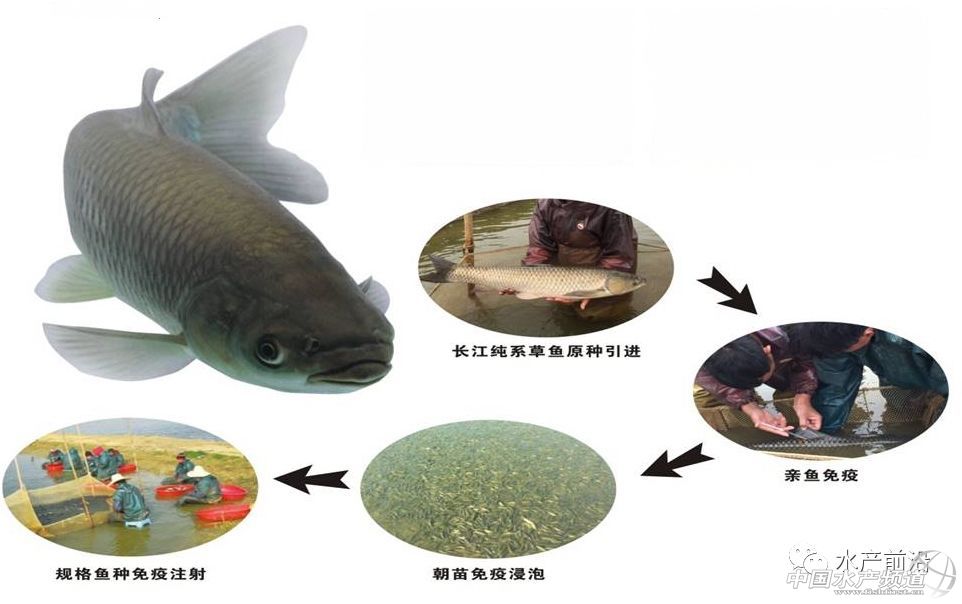 ���~���ļҏ�������2018�ꃞ(y��u)�|(zh��)���~������gӭ���]����ՈͶƱ��