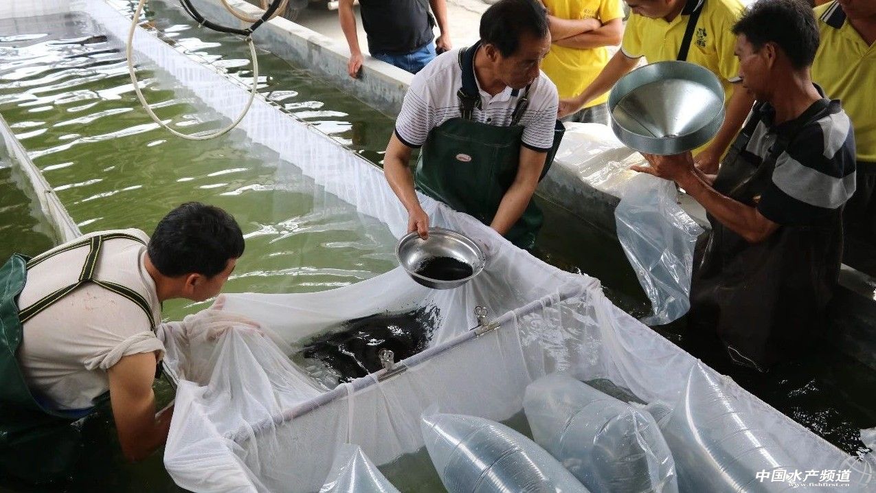 ��һ���(du��)����ı�Ʒ���������~����ͻ��15Ԫ/������2�f����@�ˮ��a(ch��n)��ȼ���L(f��ng)�D(zhu��n)�B(y��ng)�� | 2018���~ُ�Nָ��