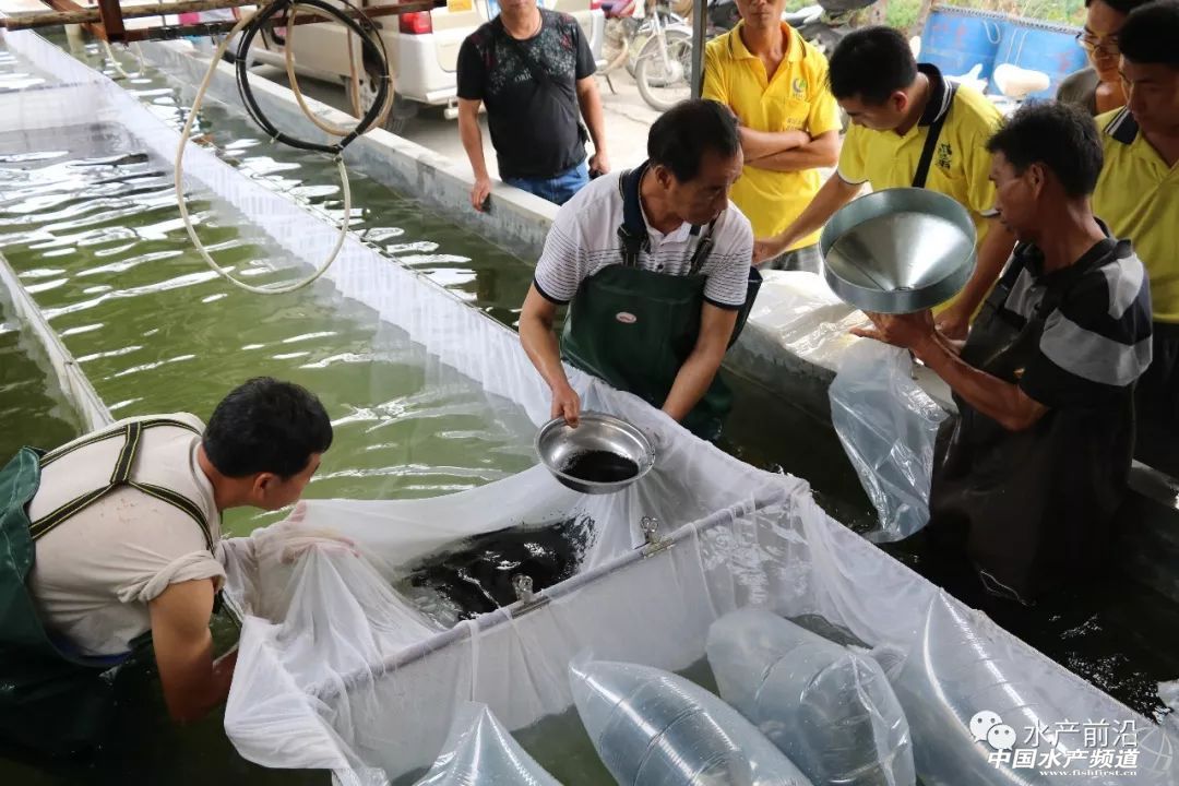 ��һ���(du��)����ı�Ʒ���������~����ͻ��15Ԫ/���2�f����@�ˮ��a(ch��n)��ȼ���L(f��ng)�D(zhu��n)�B(y��ng)�� | 2018���~ُ�Nָ��