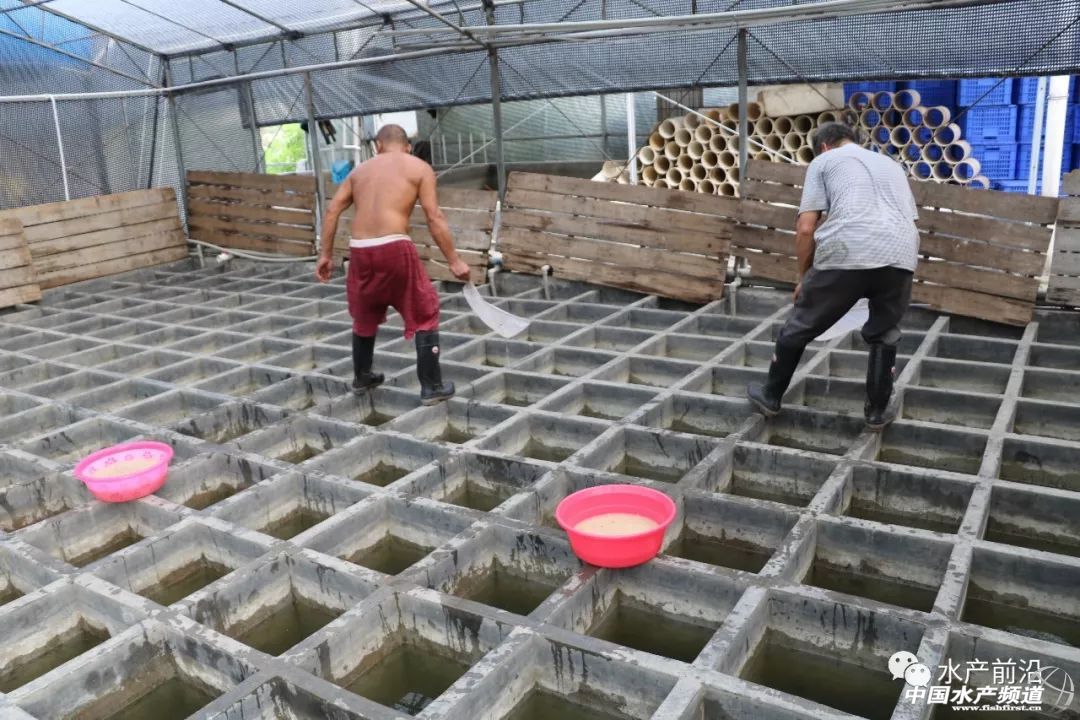 ��һ���(du��)����ı�Ʒ���������~����ͻ��15Ԫ/���2�f����@�ˮ��a(ch��n)��ȼ���L(f��ng)�D(zhu��n)�B(y��ng)�� | 2018���~ُ�Nָ��