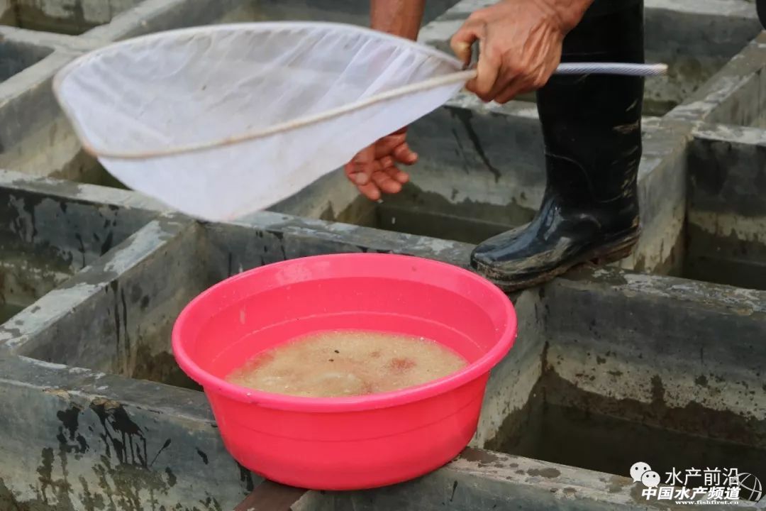 ��һ���(du��)����ı�Ʒ���������~����ͻ��15Ԫ/������2�f����@�ˮ��a(ch��n)��ȼ���L(f��ng)�D(zhu��n)�B(y��ng)�� | 2018���~ُ�Nָ��