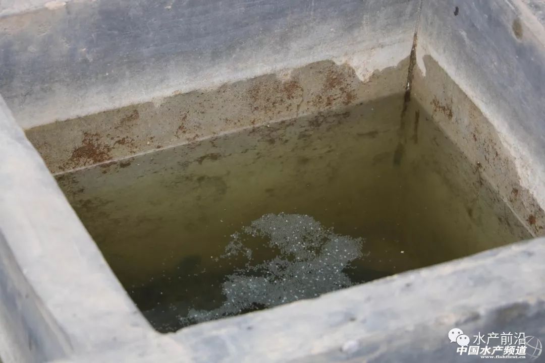 ��һ���(du��)����ı�Ʒ���������~����ͻ��15Ԫ/���2�f����@�ˮ��a(ch��n)��ȼ���L(f��ng)�D(zhu��n)�B(y��ng)�� | 2018���~ُ�Nָ��