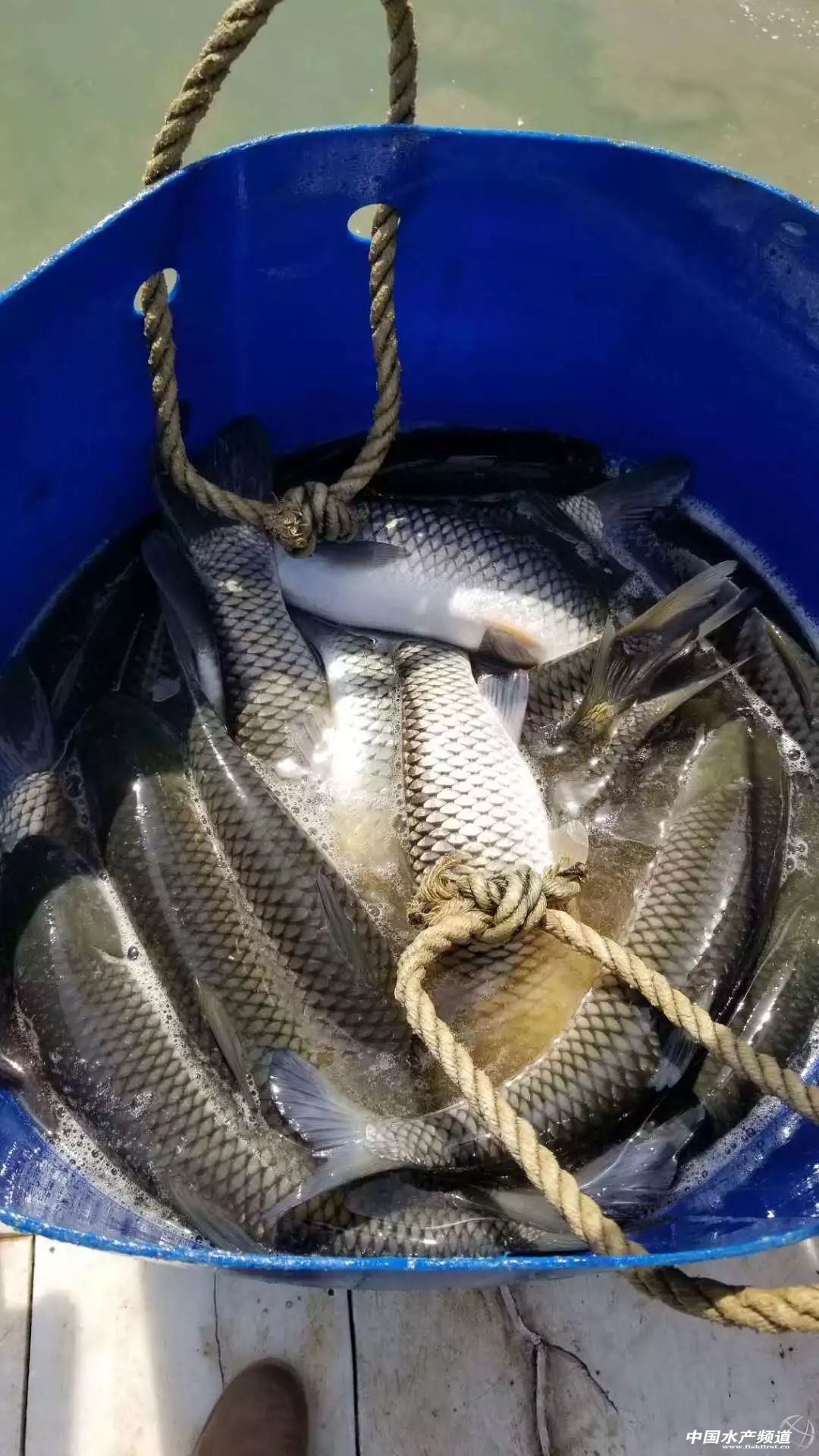 �����ݝO�����r�r�񱩝q�����~��ӭ��q�r���C(j��)��������ߝq0.3Ԫ