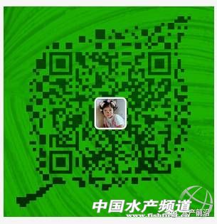 �����ݝO�����r�r�񱩝q�����~��ӭ��q�r���C(j��)��������ߝq0.3Ԫ