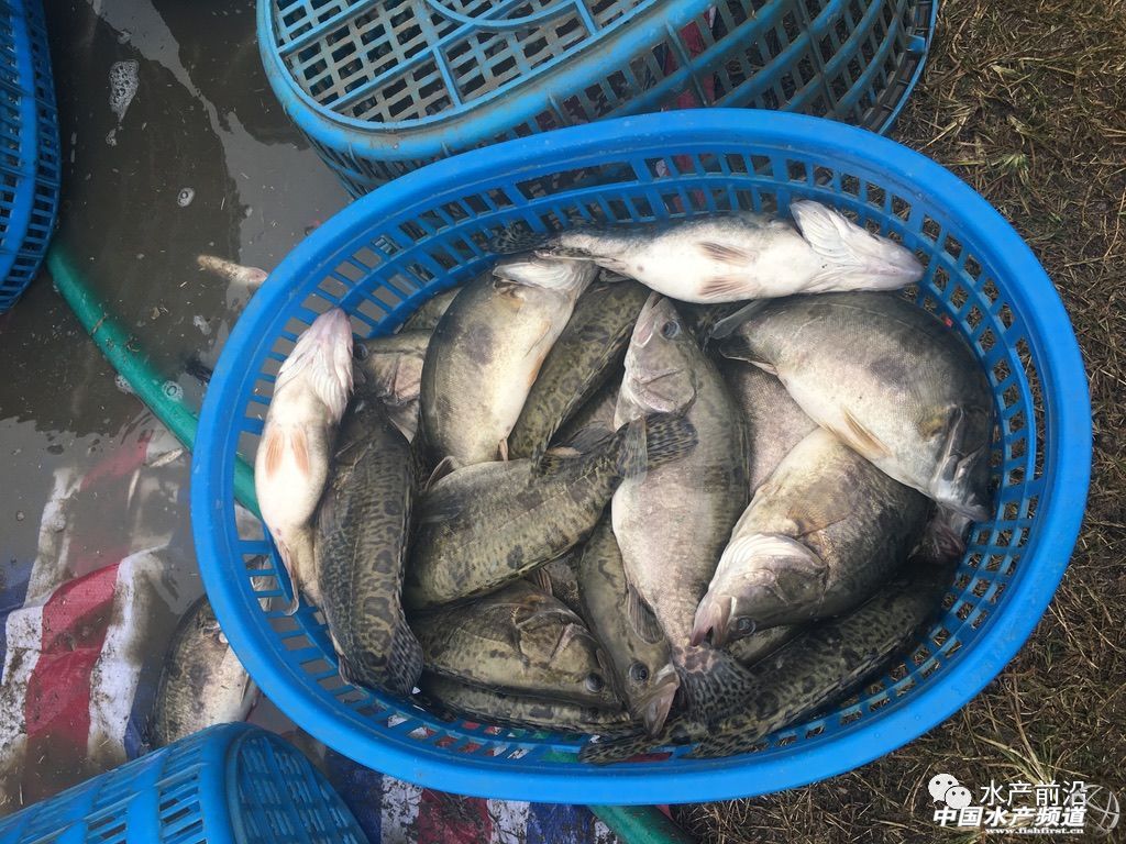 �Z�~�r��ȫ����������ͨ��10��̝400�f����������ô����