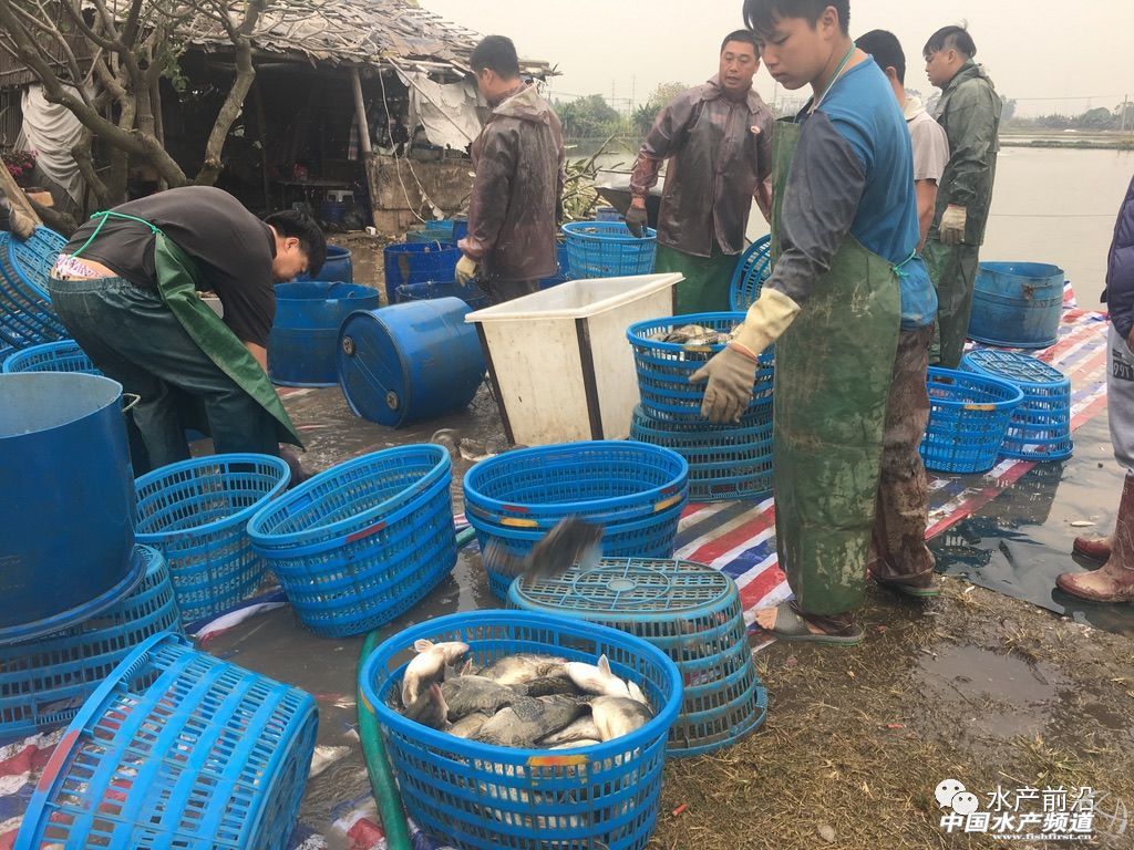 �Z�~�r��ȫ����������ͨ��10��̝400�f����������ô����