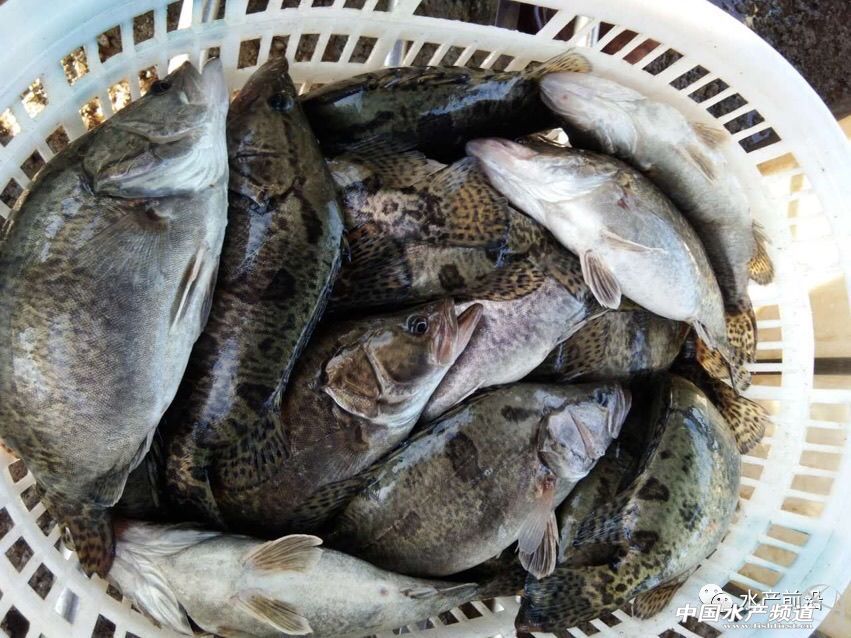 �Z�~�r��ȫ����������ͨ��10��̝400�f����������ô����