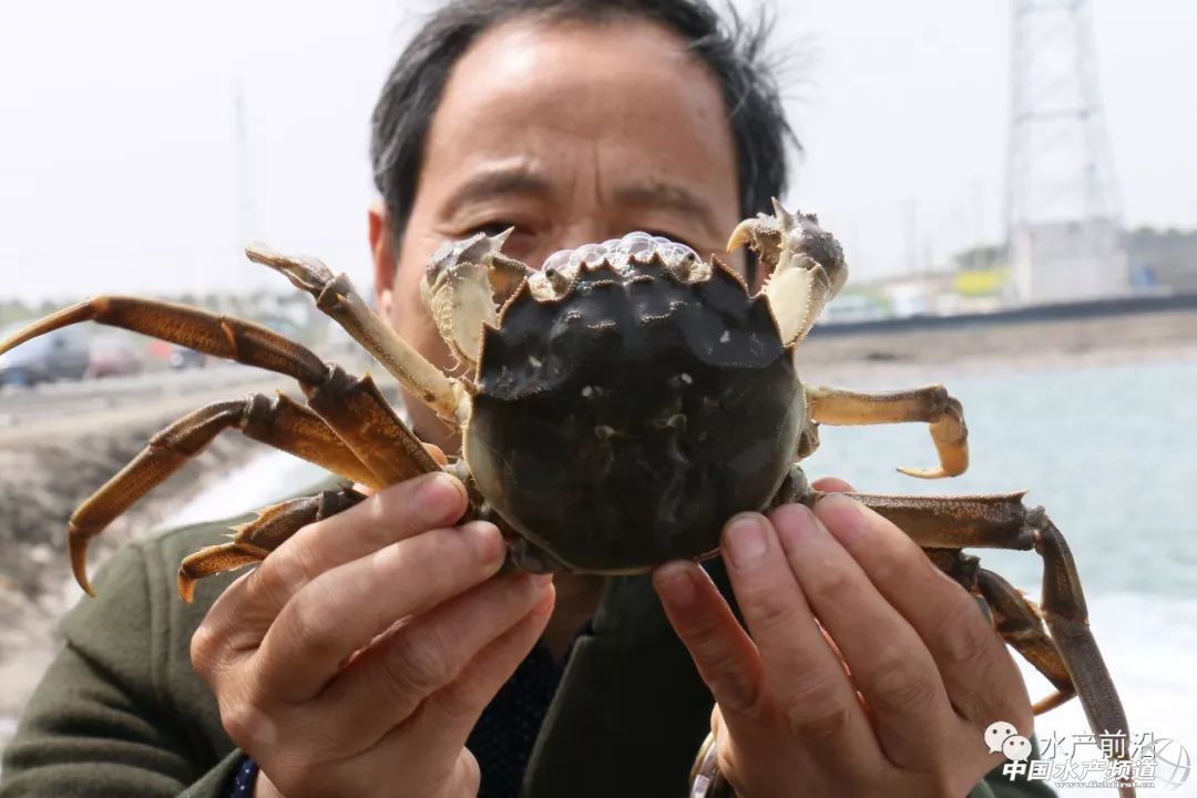 ������������з����Ʒ�Ƶġ��L(f��ng)�ڡ����R�������I(y��)���֓�λ�ĕr�C����