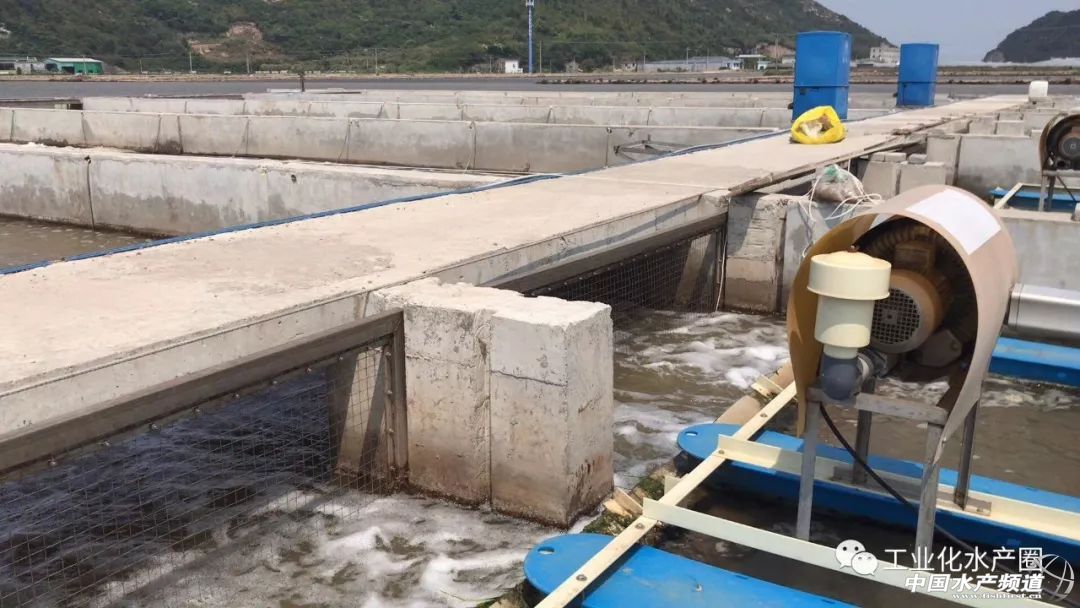 �����������ּ�(j��)ˮ̎�����㽭�@�ׂ�(g��)��(bi��o)��(zh��n)���B(y��ng)�r��(ch��ng)����Ҋ(ji��n)�^(gu��)�ׂ�(g��)��