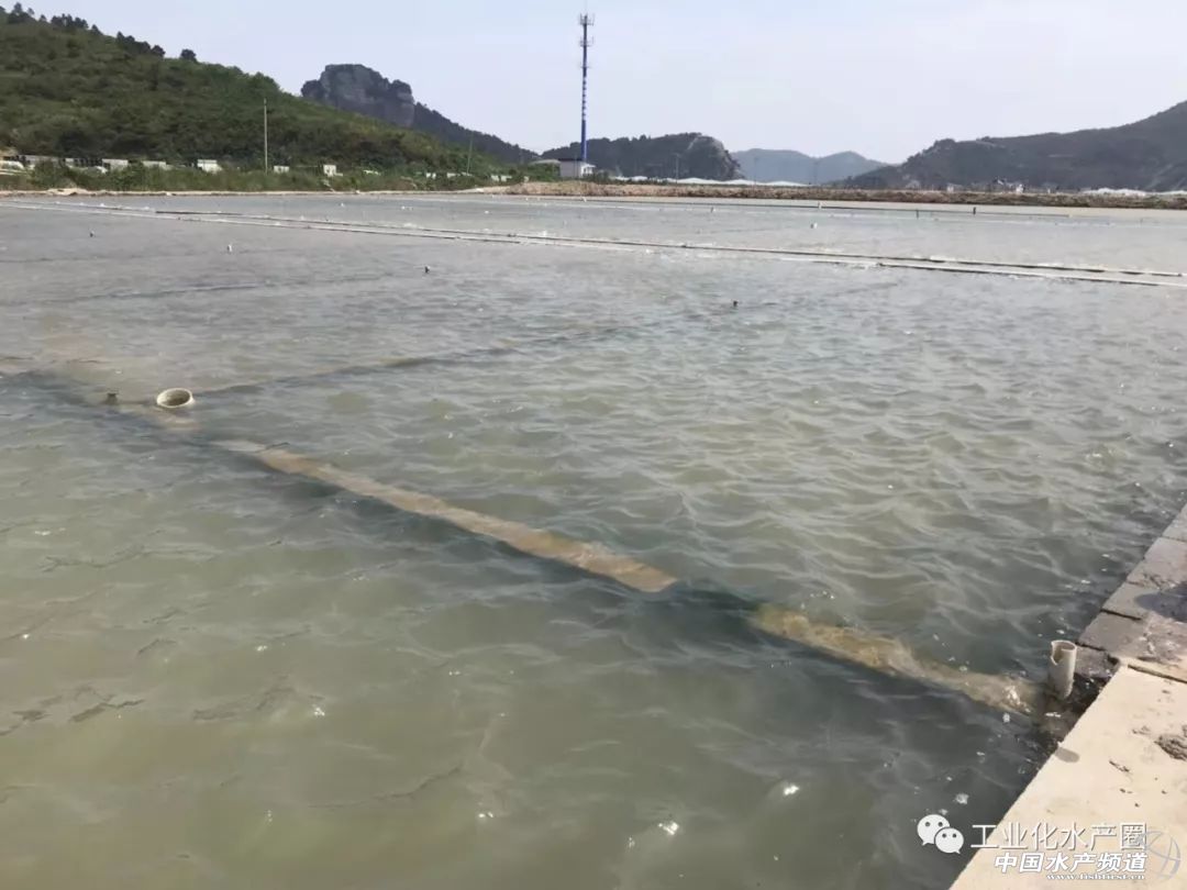 �����������ּ�(j��)ˮ̎�����㽭�@�ׂ�(g��)��(bi��o)��(zh��n)���B(y��ng)�r��(ch��ng)����Ҋ(ji��n)�^(gu��)�ׂ�(g��)��