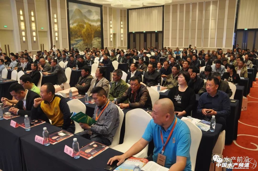 �؉�֮�£��A�|���r�a(ch��n)�I(y��)���R�h(hu��n)�����h(hu��n)���������ȉ������a(ch��n)�I(y��)����׃���������ƾ�֮·���@����