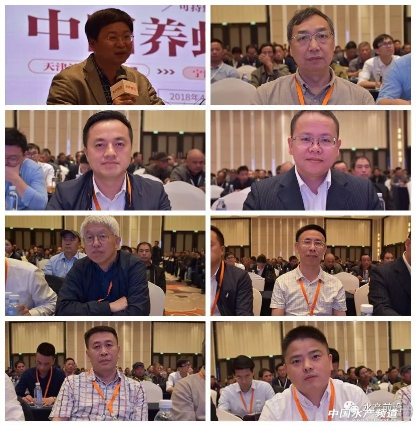 �؉�֮�£��A�|���r�a(ch��n)�I(y��)���R�h(hu��n)�����h(hu��n)���������ȉ������a(ch��n)�I(y��)����׃���������ƾ�֮·���@����