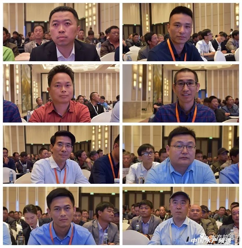 �؉�֮�£��A�|���r�a(ch��n)�I(y��)���R�h(hu��n)�����h(hu��n)���������ȉ������a(ch��n)�I(y��)����׃���������ƾ�֮·���@�