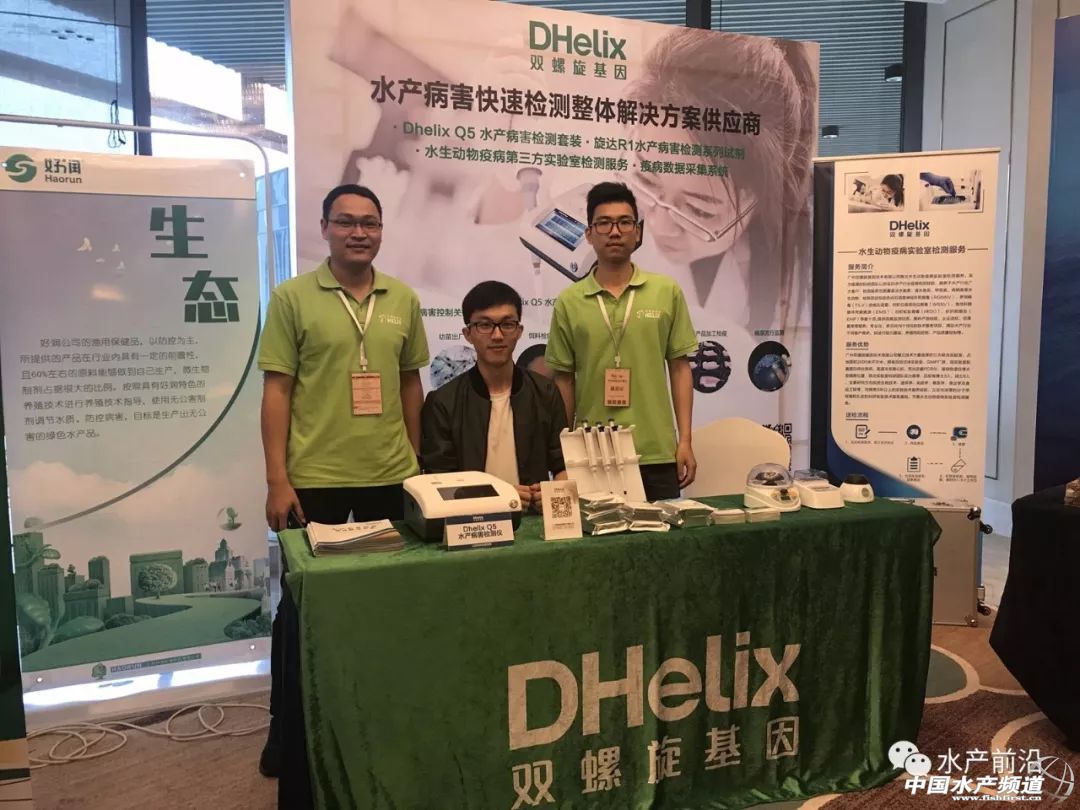 �؉�֮�£��A�|���r�a(ch��n)�I(y��)���R�h(hu��n)�����h(hu��n)���������ȉ������a(ch��n)�I(y��)����׃���������ƾ�֮·���@����