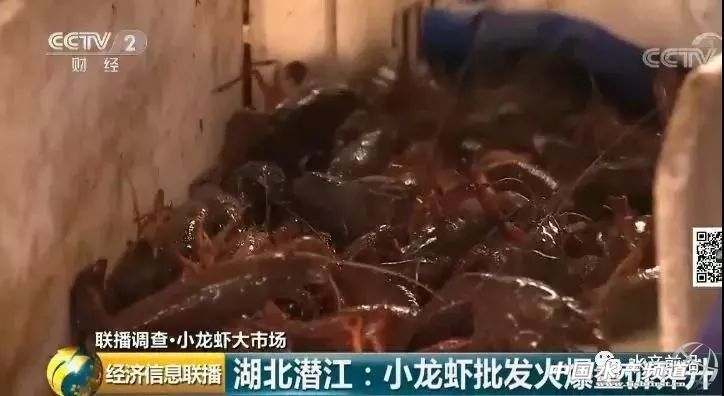 �����r���q��70Ԫ/�����q�����_60%��2000�|��С���r�I(y��)���nƱ����C���Y�����񔇾֡������Եء�