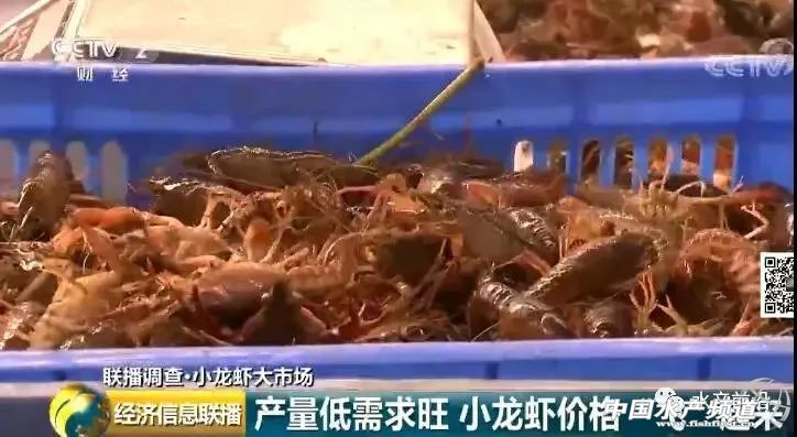 �����r���q��70Ԫ/��q�����_60%��2000�|��С���r�I(y��)���nƱ����C���Y�����񔇾֡������Եء�